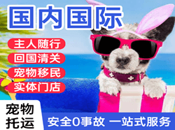 云冈机场邮寄国际宠物托运 【国